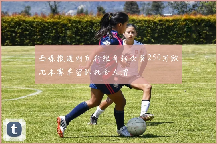 西媒报道利瓦科维奇转会费250万欧元本赛季留队机会大增