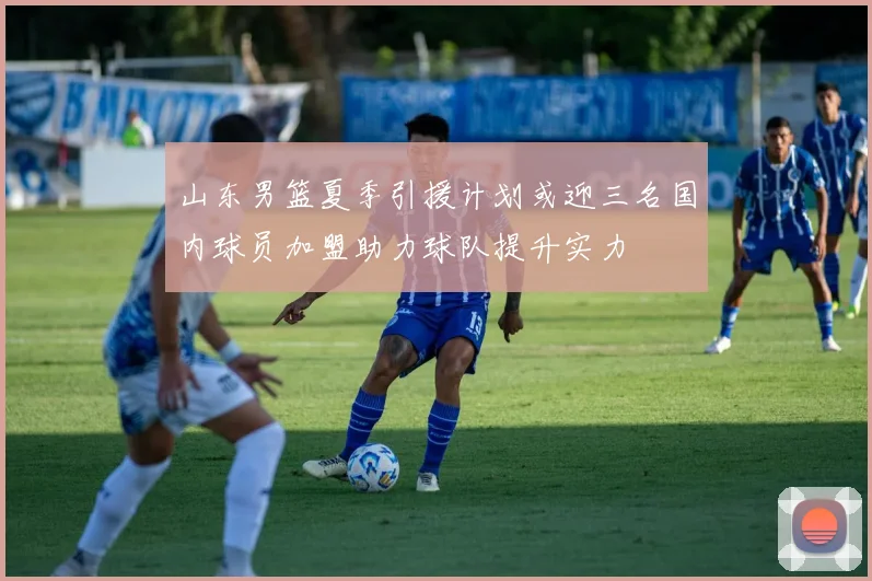 山东男篮夏季引援计划或迎三名国内球员加盟助力球队提升实力
