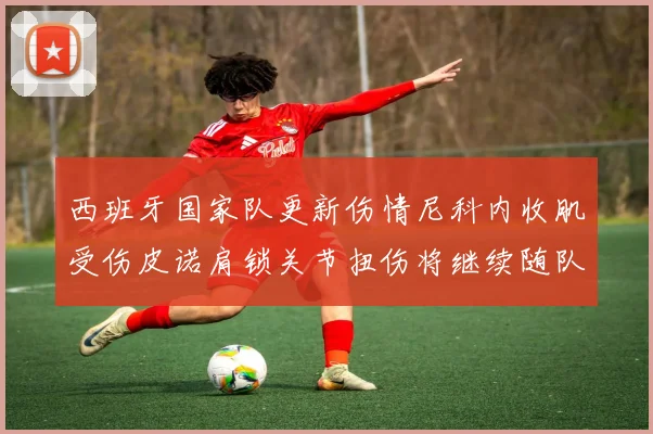 西班牙国家队更新伤情尼科内收肌受伤皮诺肩锁关节扭伤将继续随队训练